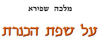 על שפת הכנרת