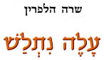 אינני מתנועע בשעת התפלה