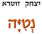 נטיה