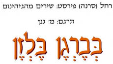 בברגן בלזן