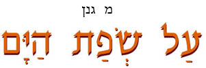 על שפת הים