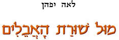  סתו