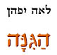  הגינה