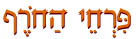  פרחי החורף