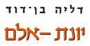 יונת-אלם / דליה בן-דוד