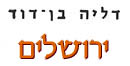 ירושלים / דליה בן-דוד