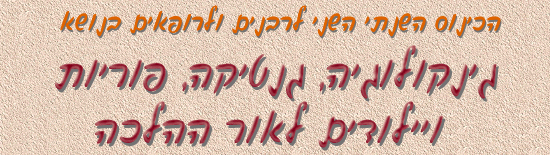 הכינוס השנתי השני ינשה יתנשה סוניכה
