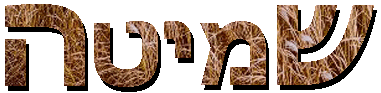 �����