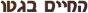 ����� ����